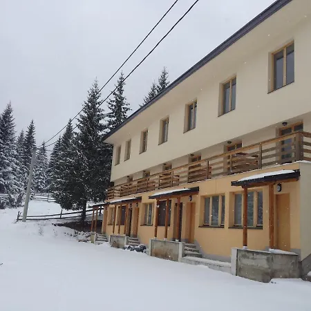 Snowflake Dvorista *